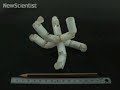 Read more: www.newscientist.com Surgeons could soon have a range of new robot helpers.