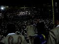 banda pelillos   candela verde