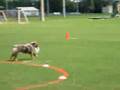 UFO LOCAL 20080906 L:akeland Florida Team Bandit 1st Round