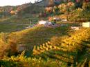 Rolle di Cison di Valmarino
