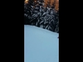 Lotte im Schnee