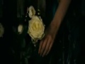 The BeST PeRfuMe:::...