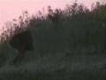 hunting in denmark