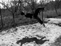 Flipy v LV a Rišňovciach ... účinkujú: Woolf,IGi,Tomi a Erik + special guest korela