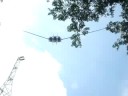 Bungy Singapore Bungy Singapore