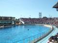 marineland