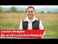 Lucian Dragan - De-ar stii cucul sa vorbeasca | www.luciandragan.ro