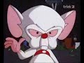 Pinky und der Brain - Pinkys PerspektiveDeutschEines der besten Folge der SeriePinky aus der Ich-Perspektive
