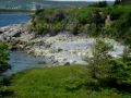 Adopt-A-Beach Newfoundland