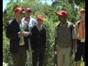 FIRST ACCREDITED BLACK MOUNTAIN GUIDES TAKE TABLE MOUNTAIN