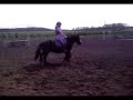 Actually Jumped It This Time x