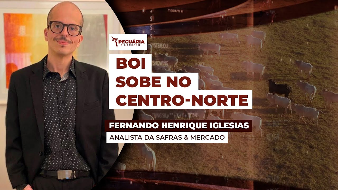 Boi gordo registra novas altas em vários estados, enquanto São Paulo mantém preços estáveis