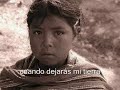 la maldicion del malinche  ampara ochoa