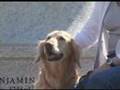 Best of Friends: Celebrating 'The Bond'