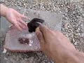 Vermiculture Worm Bin Mineral Dust for Gizzards