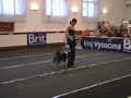 Tha Championship of the CZ - 1st Musical Dressage