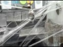 Office Pranks - 300 Feet of Saran Wrap plus a Monkey