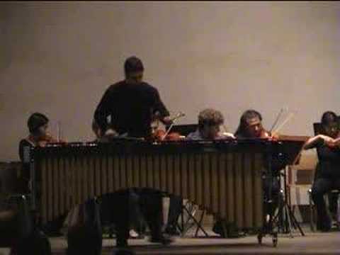Ney Rosauro - Concerto for Marimba and String Orchestra - 1
