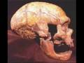We have the Fossils - We Win