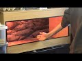 how to set up a leopard gecko vivarium