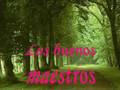 BUENOS MAESTROS, MAESTROS FASCINANTES