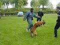 Gendarmerie Gendarmerie