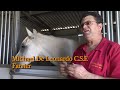 Diagnose the hard to diagnose horse using thermograpghy