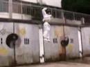 chinese wudang kungfu