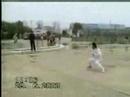 chinese wudang kungfu