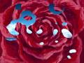 Meri Ibtada (Showbiz) romantic urdu song