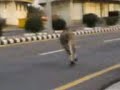 حادث مادري وين بالضبط