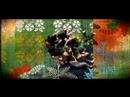 VANGUART - Semáforo VANGUART - Semáforo