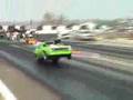 muscle does wheelie, 7.80 1/4 Mile
