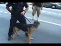 Unneccessary Taser Use at Antiwar Demonstration