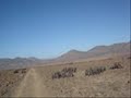 desierto de atacama provincia de huasco