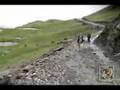 Moot Panamericano - Ruta de los Andes