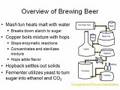 Bacterial Chemostats