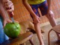 Para todos aqueles que não acreditavam em Agostinho Carrara, aqui esta a prova que é possível furar um coco verde usando uma bala 7belo.