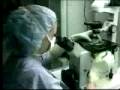 Octuplets Medical Controversy