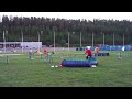 Agirotu 4.7.2008, Croatian Sheepdog \"Puubi\", Maxi 3 KV hyp