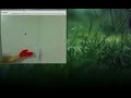 Virtual Bouncing Ball with OpenCV