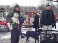 Milwaukee Polar Bear Plunge 2010.wmv