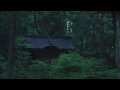 Click here to watch this video 五月の高野山 Mount Koya in May | Sony NEX-FS100