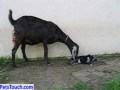 Just Kidding ---1part