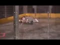 Click here to watch this video Bots IQ Wisconsin 2012: X wing vs Slots