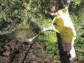 Powerwashing the weeds away