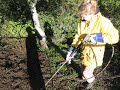 Powerwashing the weeds away