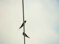 Photos of Huddersfield