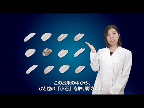 「人はすぐ騙される」〜英語版〜