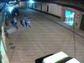 PELEA-DE-ROBA-GATOS-